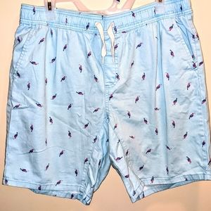 Men's Casual bird print shorts